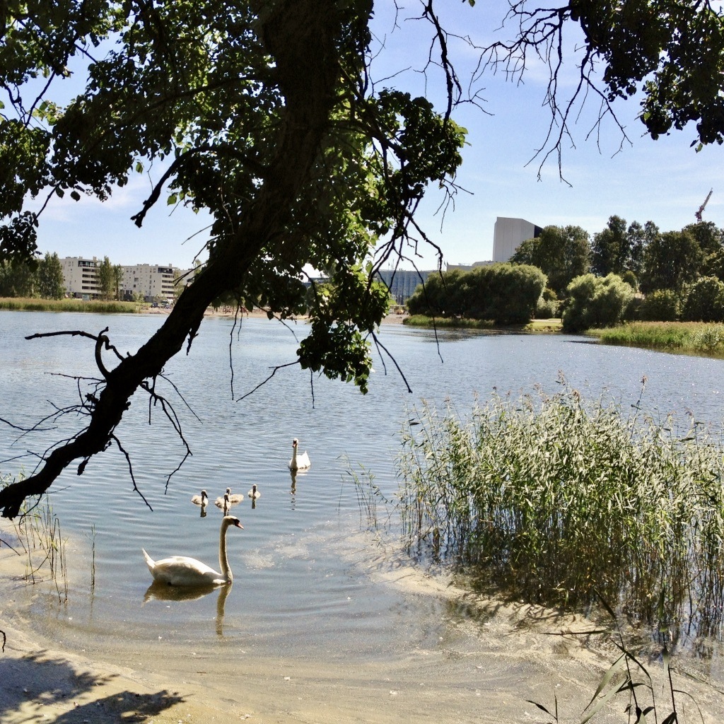 Urban nature in the heart of Helsinki